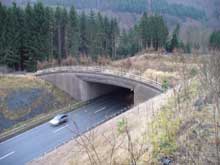 Gr&uuml;nbr&uuml;cke bei Wallau Biedenkopf (Lahn)